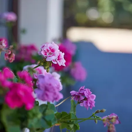 Hotelowe Gosciniec 4*
